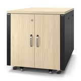 APC by Schneider Electric NetShelter 12U Rack Cabinet for Server - 482.60 mm Rack Width - Wood Light - TAA Compliant