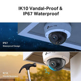 TP-Link VIGI VIGI C250 5 Megapixel Outdoor Network Camera - Colour - Dome